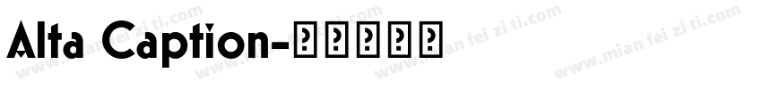 Alta Caption字体转换